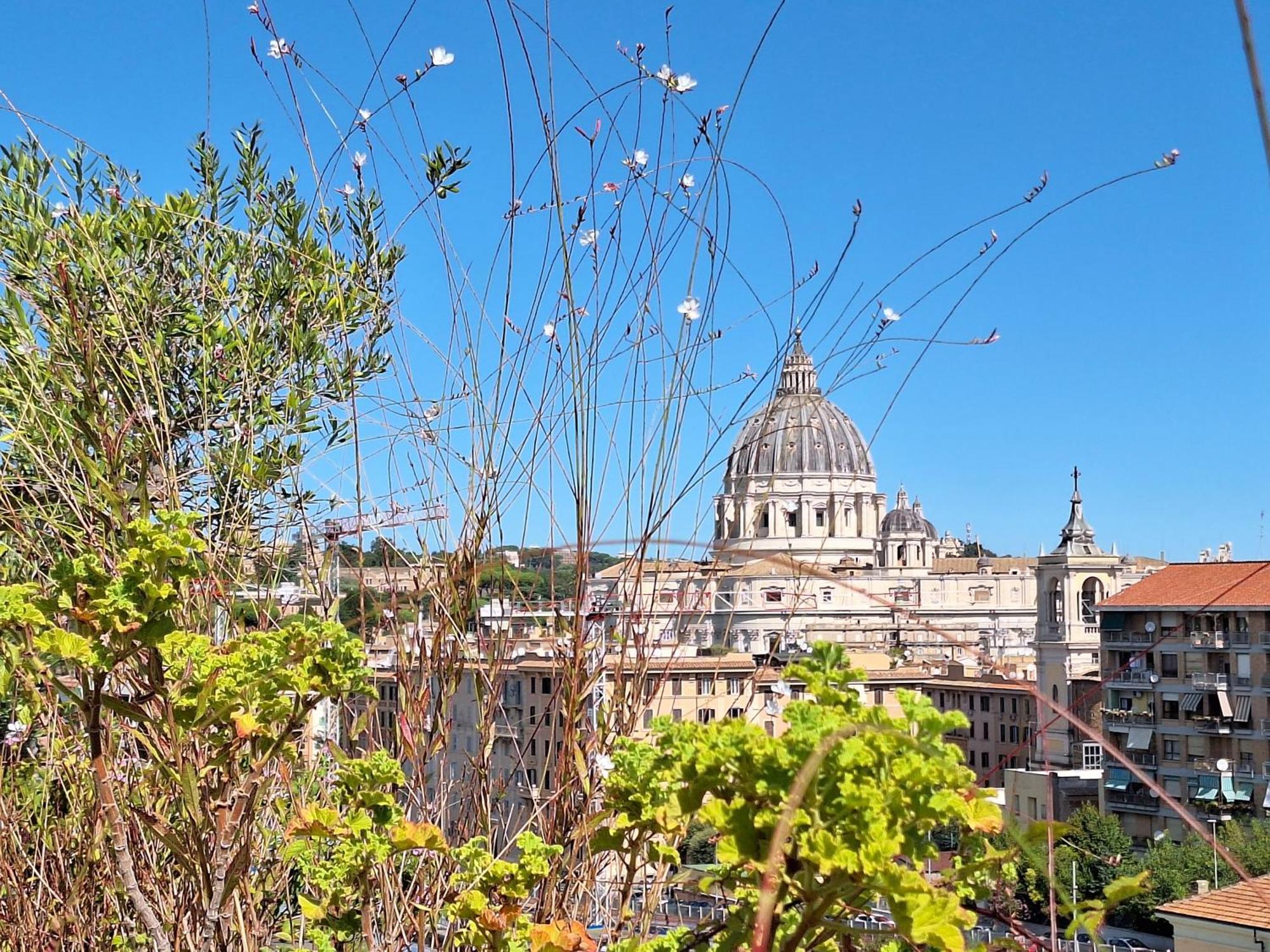 Delmirani'S Book Apartments - Vatican View روما المظهر الخارجي الصورة